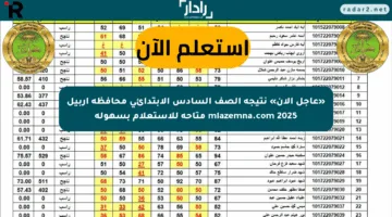 تهانينا للناجحين.. رابط الاستعلام عن نتائج السادس الابتدائي 2025 في العراق مع شرح مبسط